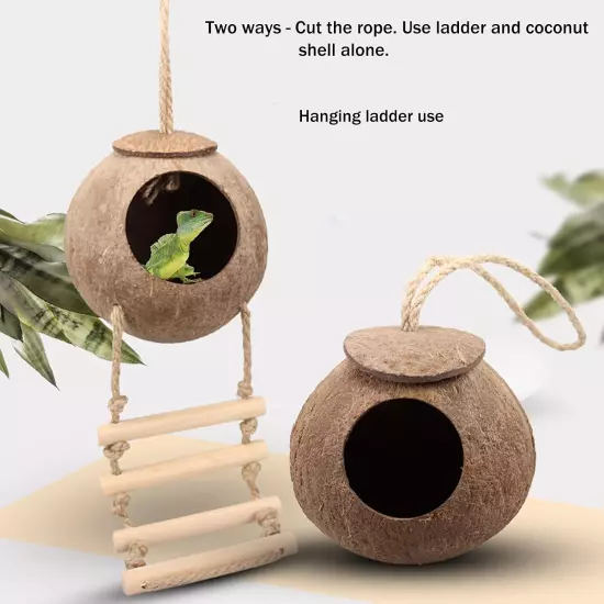 Leopard Gecko Habitat Decor Set with Coconut Shell Ladder and Colorful Plants