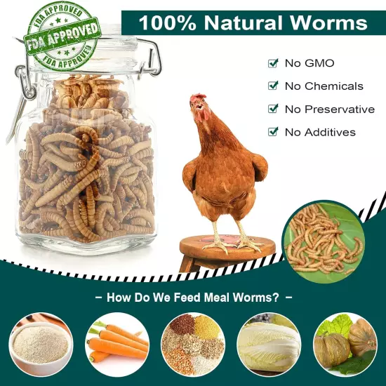 High Protein Non-GMO Dried Mealworms - 5LB Natural Large Size Snack