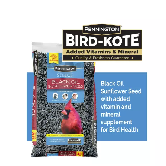 Pennington Select Black Oil Sunflower Seed Dry Wild Bird Feed, 40 lb. Bag, 1 Pac