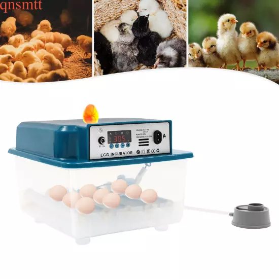 16-Eggs Digital Incubator Automatic Bird Egg Incubator Hatching Brooding Machine