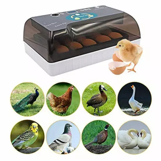 12 Eggs Fully Automatic Temperature Incubator Digital Poultry Chicken Duck Lamp