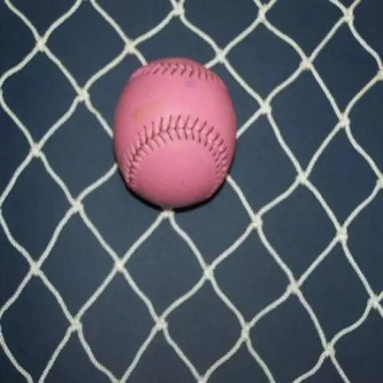 15' X 10' Baseball Softball Hard Impact Netting 1 7/8" #48 Lb 460 Test!