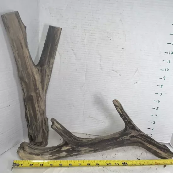 Driftwood 2 Piece Set Taxidermy Beach Lake Mountain House Wedding Reception