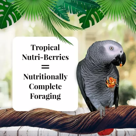 Tropical Fruit Nutri-Berries Pet Bird Food, Made with Non-Gmo and Human-Grade In