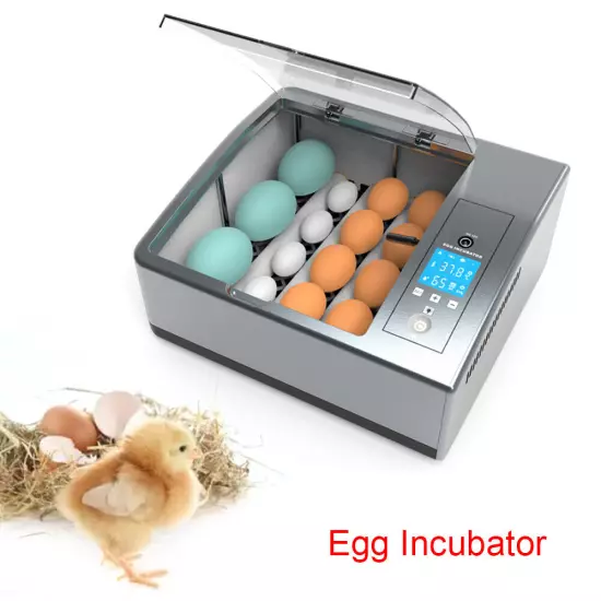 Egg Incubator 16 Eggs Incubator with Automatic Egg Turning Automatic 360 Turning