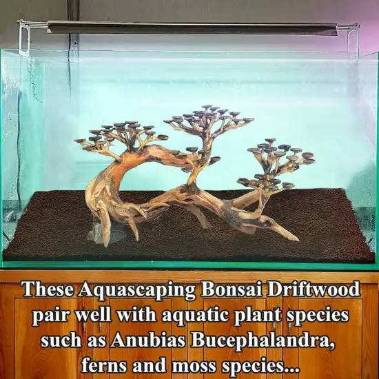 Aquarium Bonsai Driftwood Tree Fish Tank Plants Aquascape Landscaping Decoration