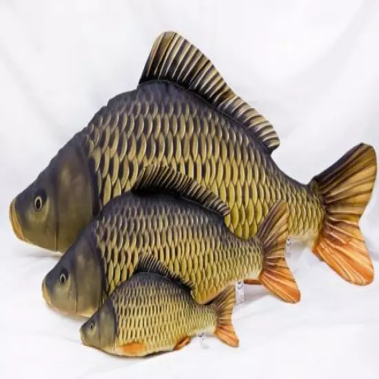 Gaby Common Carp Fish Pillow Baby Carp, Large Carp, Giant Carp