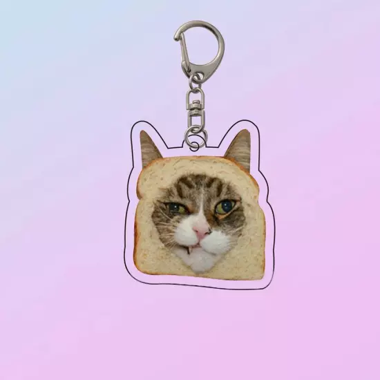 Vintage Cute Fun Toast CATS Acrylic Keychain Pendant N8W0