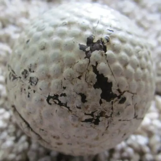 ORIGINAL VINTAGE THE MANOR GOLF BALL W/GUTTA PERCHA COVER ROUGH CONDITION