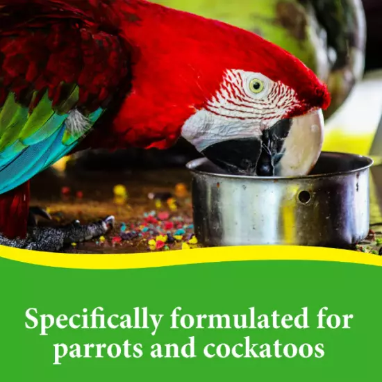 3-D Pet Products Premium Parrot Bird Food Seeds with Probiotics 8 lb. Bag