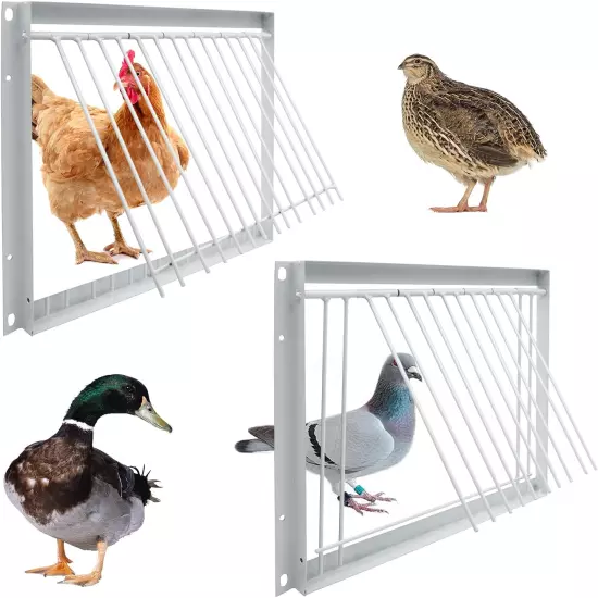 11.8In/30Cm Pigeon Cage Door One Way Entrance Door Bird T Trap Birdcage Iron Wir