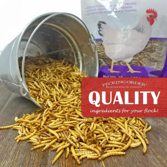 3P Pecking Order Dried Mealworms Treat & Feed for Chickens, 30 oz.