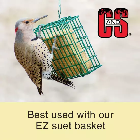 C&S Products High Energy Fresh Suet Value Pack, for Year Round Wild Bird Feeding