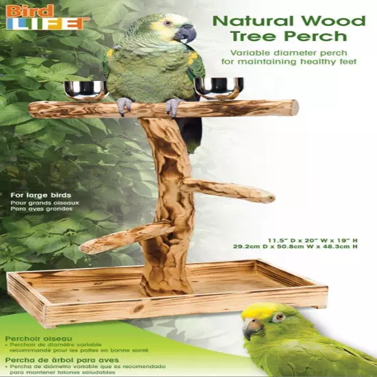 Bird-Life Natural Wood Tree Perch for Large Birds and Parrots – Includes Food...