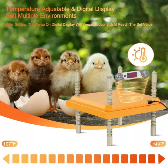 ZenxyHoC Brooder Plate for Chicks with Temperature Adjustable and Display 10