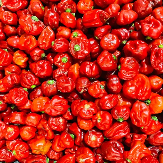 200 Whole Dried Carolina Reaper Pepper Pods World Hottest Best Quality