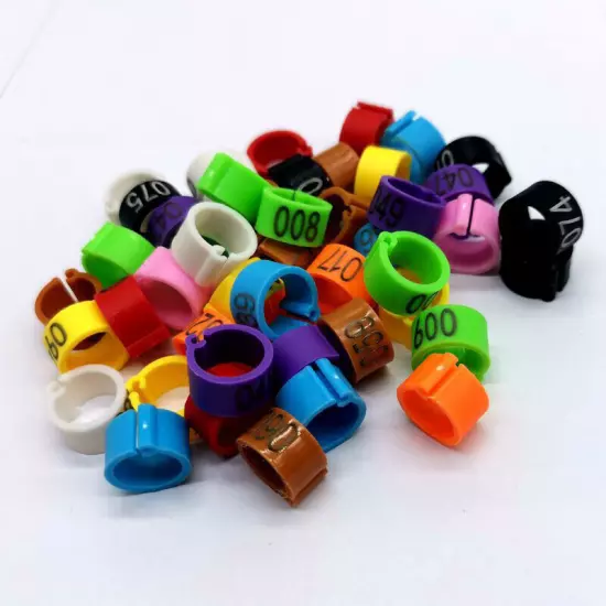 100pcs 8mm Plastic Pigeon Leg Foot Rings Bands Pigeon Bird Clip Supplies