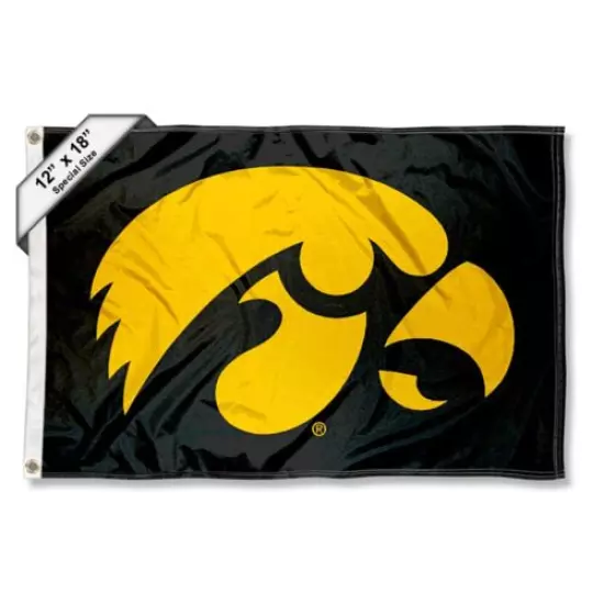 Iowa Hawkeye University Boat and Golf Cart Flag