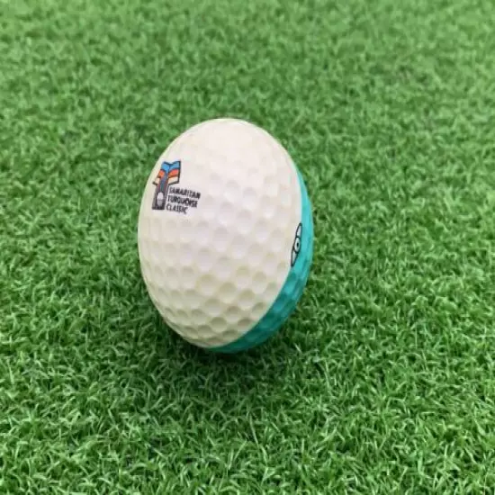 RARE 1983-85 PING GOLF BALL Turquoise/White SAMARITAN TURQUOISE CLASSIC LOGO