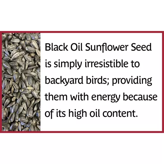 Pennington Select Black Oil Sunflower Seed Dry Wild Bird Feed, 40 lb. Bag, 1Pack