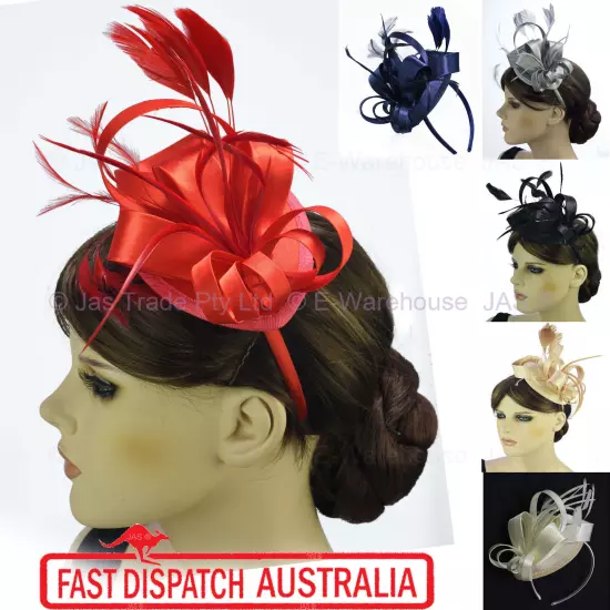 Spring Racing Race Party Melbourne Cup Feather Headband Hairband Clip Fascinator