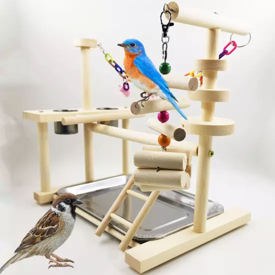 Wood Pet Parrot Playstand Perch Gym Cockatiel with Feeder Cups Bird Play Stand