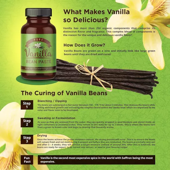 Vanilla Bean Paste for Baking and Cooking - Gourmet 4 Ounce (Pack of 1) 