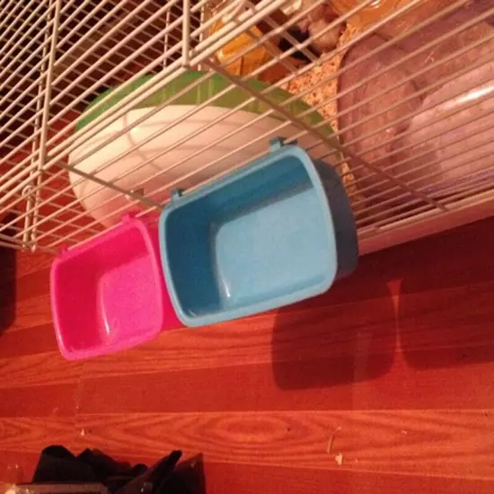 Bird Water Feeding Cup with Hooks Pet Cage Cup for Chinchilla