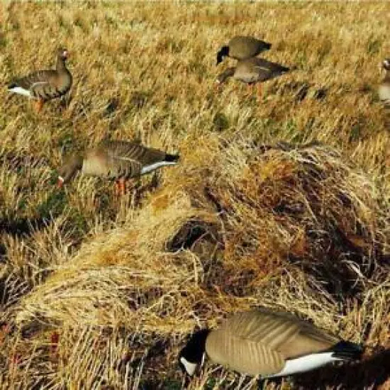 Avery/GHG Killer Weed Layout Blind Kit in Golden Harvest