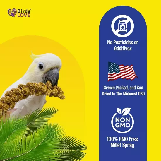 Birds LOVE Economy & Thin Spray Millet for Birds 100% Natural Treat No Stems 7oz