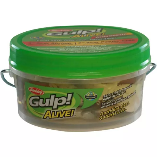 Berkley Gulp! Alive! Shrimp Fishing Bait Bucket (4-Inch) - Natural Shrimp