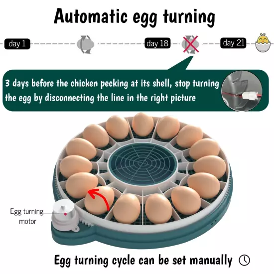 Egg Incubator, Intelligent Incubator for Chicken Eggs with Automatic Humidity...