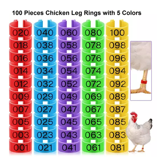 Placas Para Marcar Gallos Gallinas Pollos Pinches Anillos Accesorios 100 Pcs New