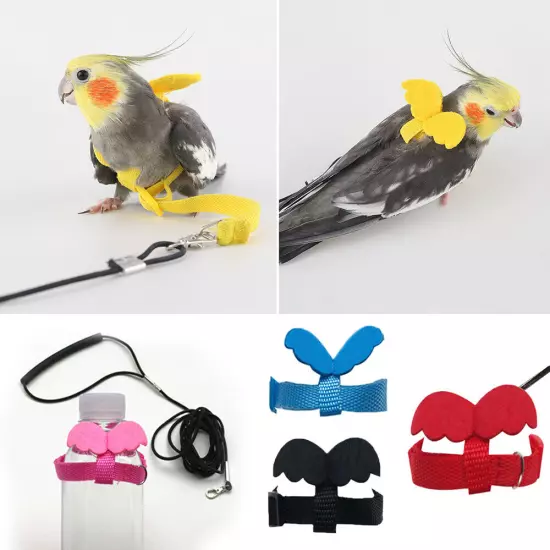 Bird Harness Leash Set Parrot Flying Rope Straps Outdoor Training for Cockatielಇ