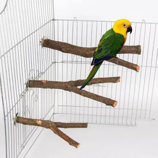 NATURAL WOODEN BRANCH BIRD CAGE PERCH 3 SIZES CANARY FINCH PARAKEET BUDGIE C8V4