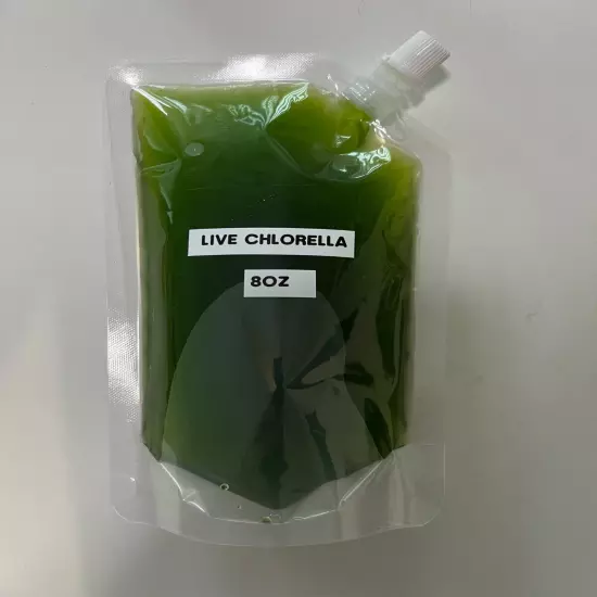 Live Chlorella for Culture: Freshwater Phytoplankton Green Water for Daphnia