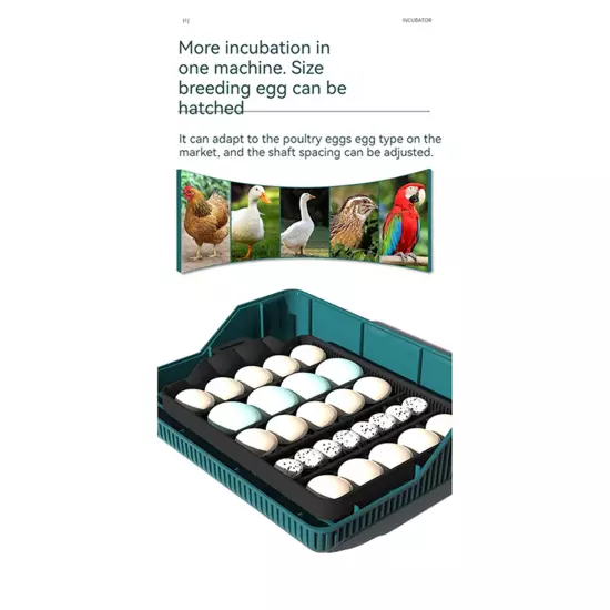 Egg Incubator for Hatching Egg Full Automatic 25x Eggs Turning Duck Chicken Egg