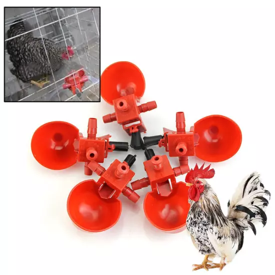 5Pcs Feed Automatic Bird Poultry Chicken Fowl Drinker Water Drinking Cups