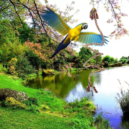 Bird Bungee Parrot Climbing Rope Spiral-Perch for Parakeet Cockatiel