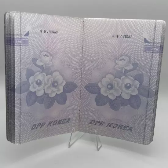 Countries Passport Simulation Movie Props Mini Notebook Novelty Dairy Planner