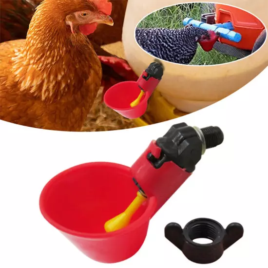 6/3/2pc Chicken Poultry Water Drinker Cup Coop Bowl Automatic Pigeon Farm Feede√