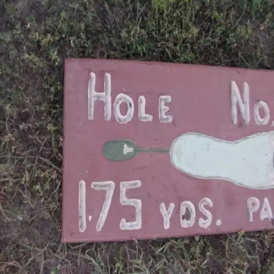 VINTAGE Hand Carved Hole No 11 Golf Painted Wood Sign 23 3/4" x 11 1/2" Folk Art