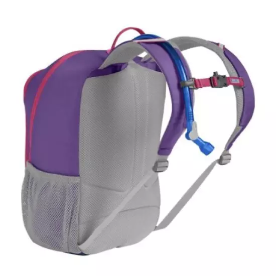 camelbak scout, Purple Sapphire Azaela