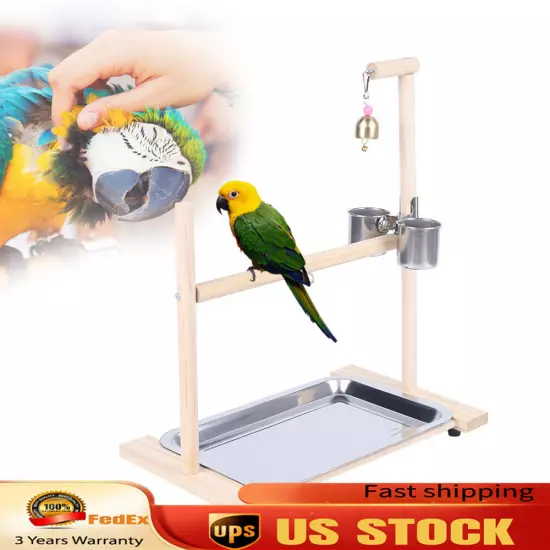 Parrot Playstand Bird Playground Perch Gym Training Stand Toys with Feeder Cup