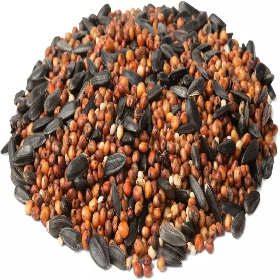 Wild Bird Food, Quail, Pigeon and Dove Food Seed Mix (7lb Bag)