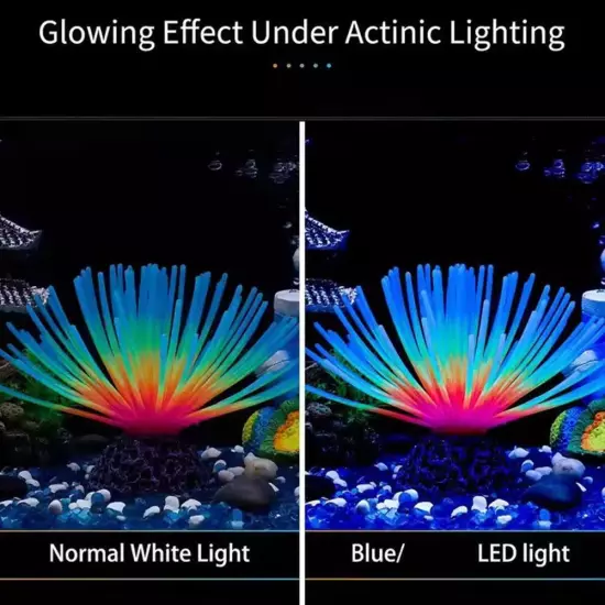 Fish Tank Simulates Coral Colourful Sea Urchin Ball Glow-in-the-dark Coral D2P1