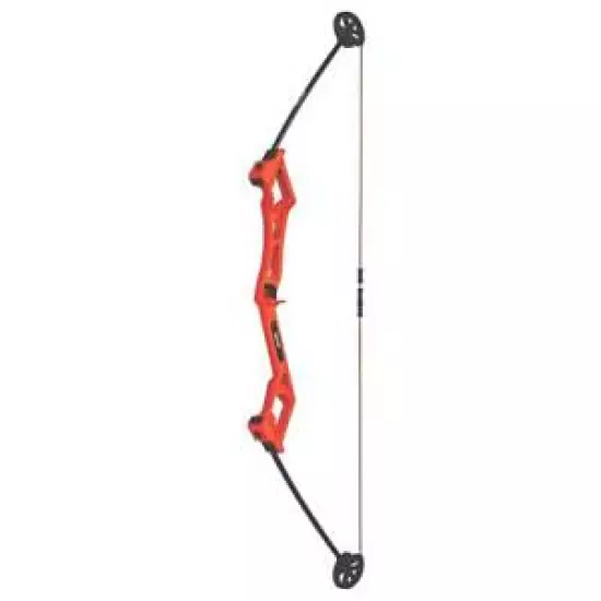  Bear Archery "Girly Eana" Youth Bow RH 2 Arrows and Paper Target 