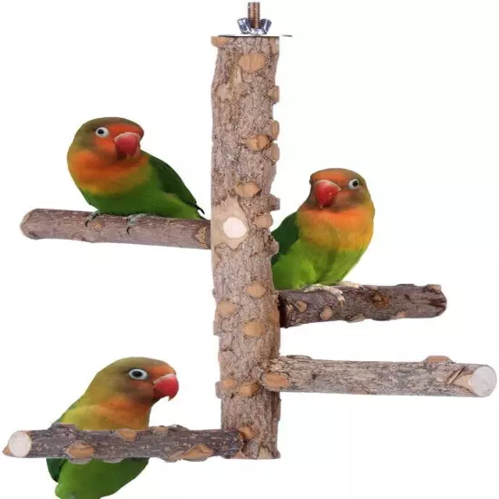 Bird Perch Nature Wood Stand for 3-4pcs Small Medium Parrots (S) Brown 