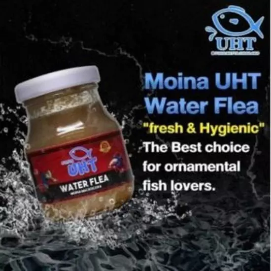 MOINA UHT Water Flea 75g. For Baby Fish Guppy Betta Fish