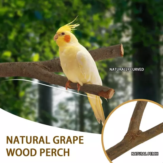 10 Pcs Natural Wood Bird Perch All Bird Toys Suitable and Bird Cage Accessorl...